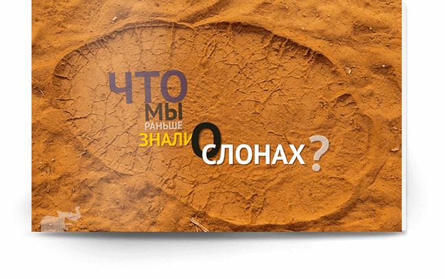 Большое изображение "Креативная презентация"